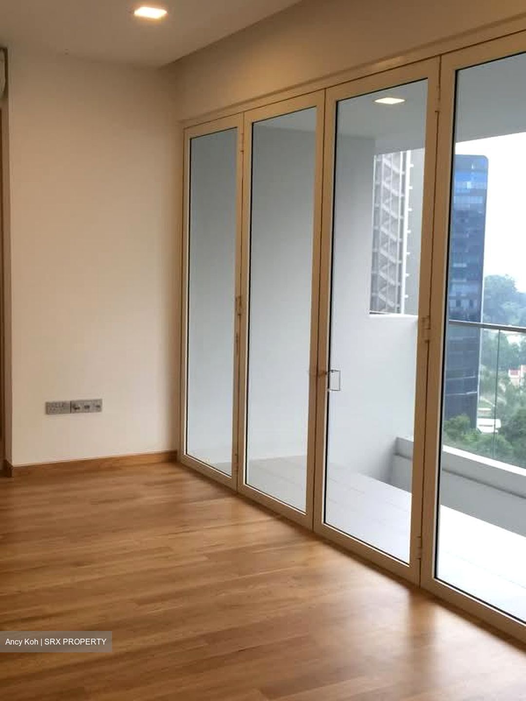 The Peak @ Cairnhill II (D9), Apartment #538490801